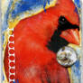 Bird ATC -- Cardinal