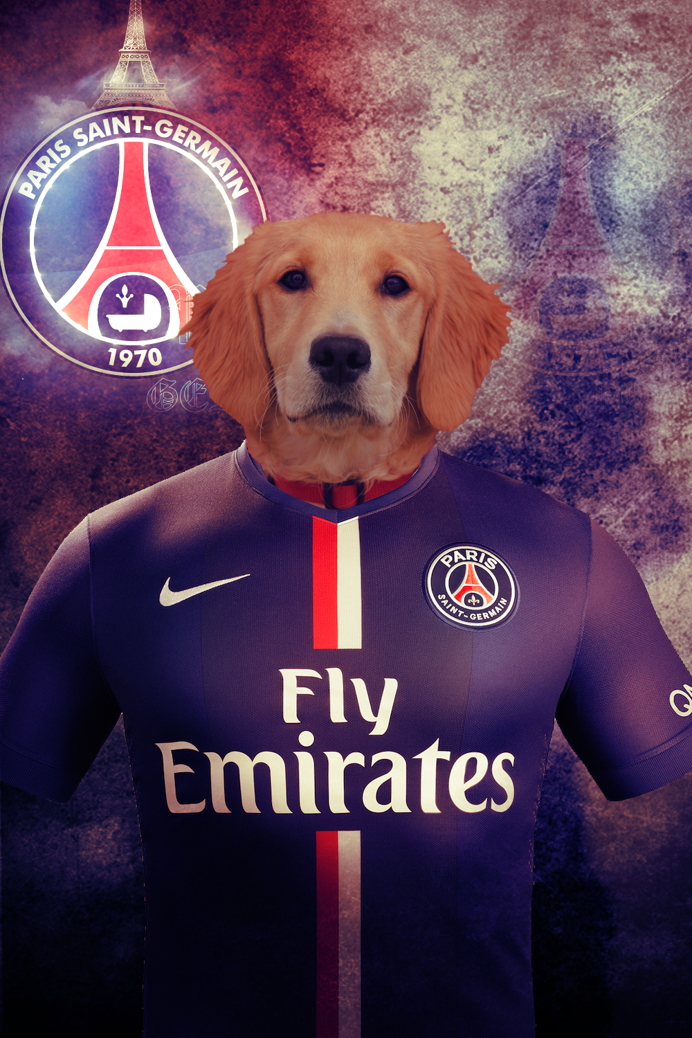 Psg dog best sale jersey