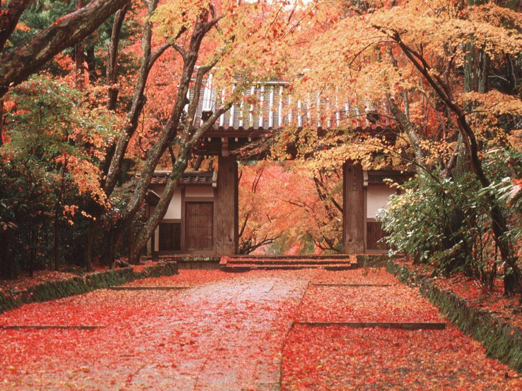 Japanese Temple