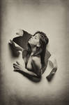 Smell of freedom by silvestru