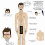 Human Body Tutorial - male