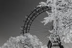 Riesenrad IR by rschoeller