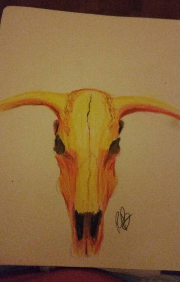Steer Skull by XINights on DeviantArt