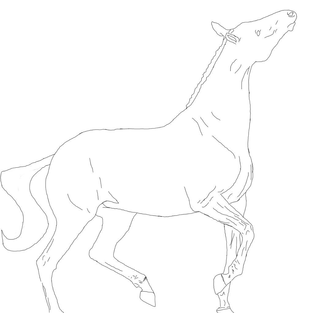 warmblood-lineart 1