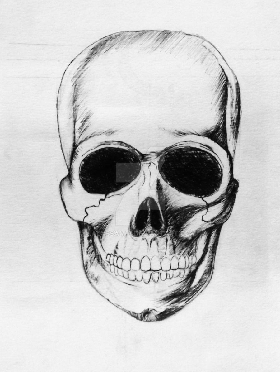 Study of a Skull