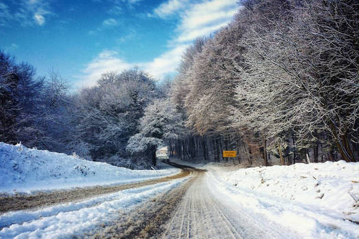 Winter road