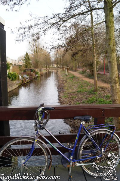 Heen en weer naar Leidschendam (2015)