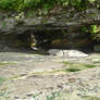 Cave Stock 3