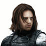 Bucky (drawing)