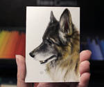 Dog sketch card (Commission)
