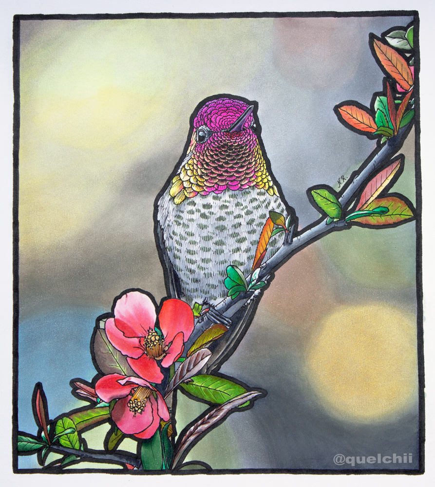 Hummingbird marker drawing