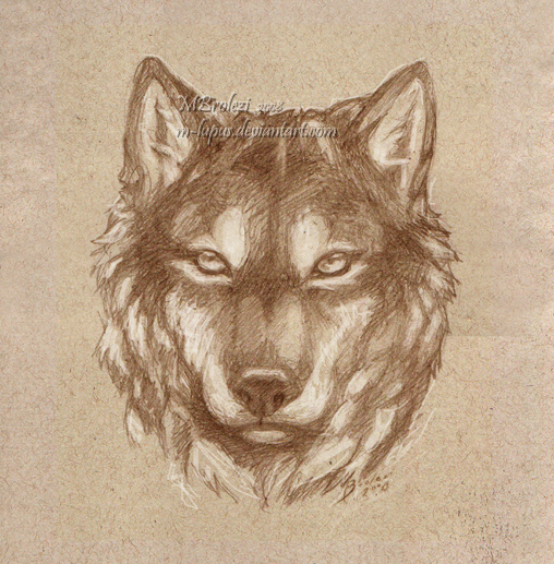 Wolf Face