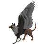STOCK PNG gryphon