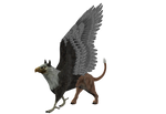 STOCK PNG gryphon