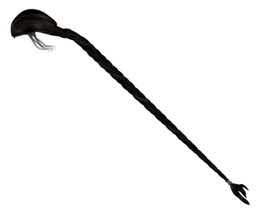 STOCK PNG platted hair2