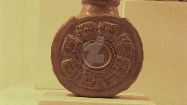 Little Maya Bottle
