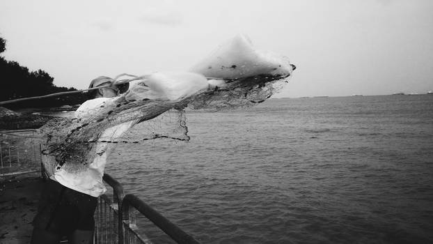 Netting At Bedok Jetty