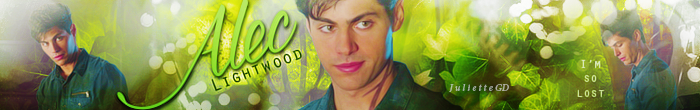 Banner - Alec Lightwood