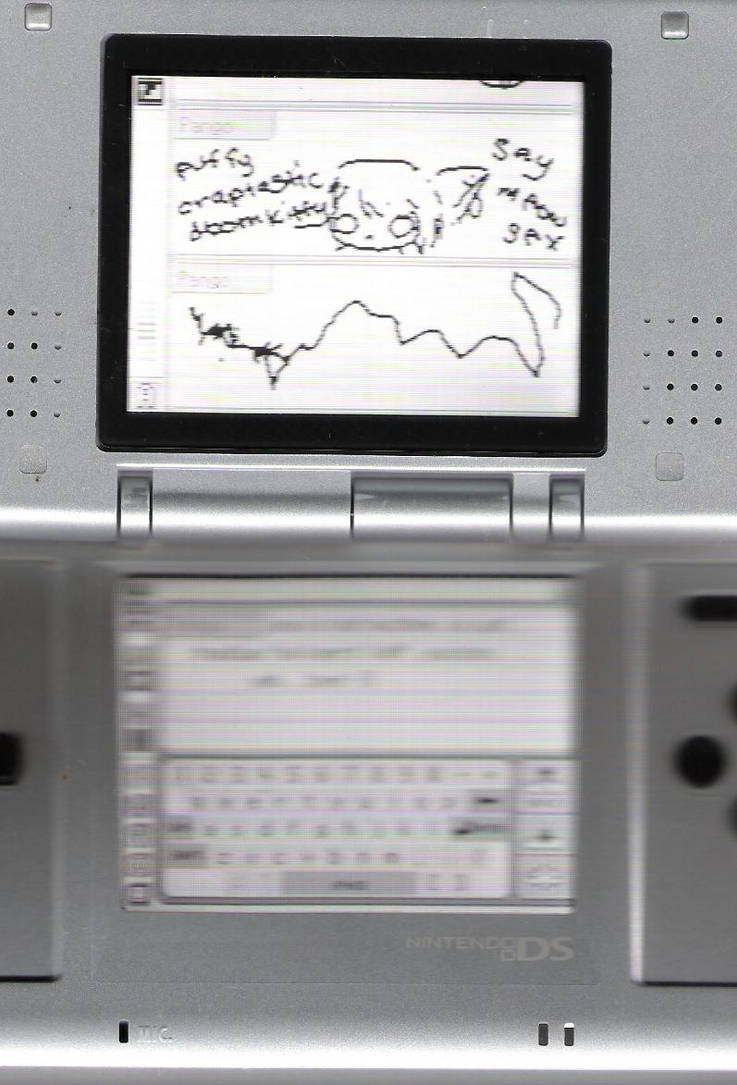 Nintendo DS ID by Dizzichii on DeviantArt