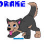 Day 5 - Drake