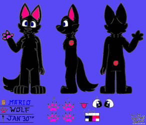 My Fursona Ref