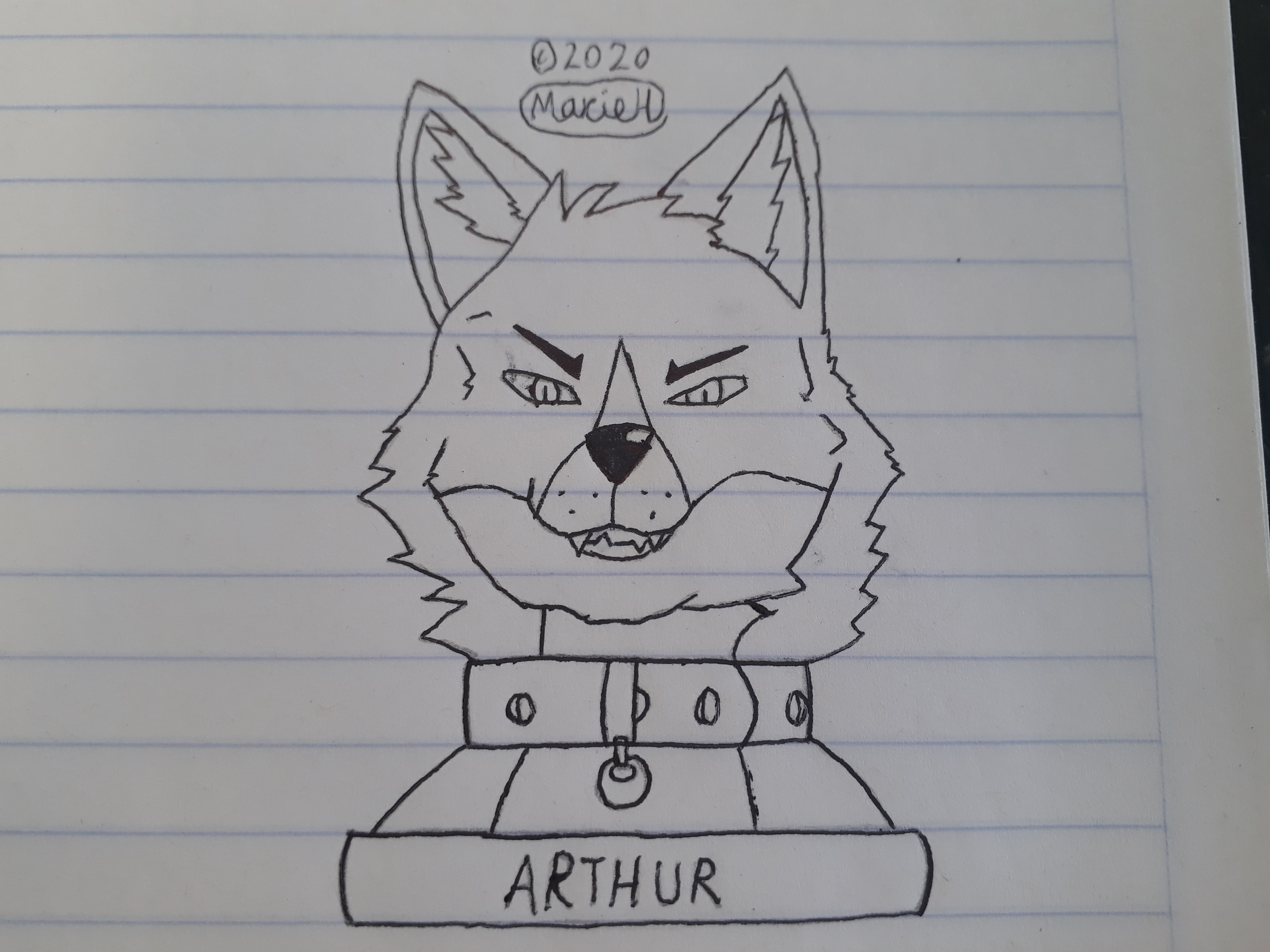 PPSTD - Arthur's Portrait