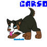 Day 20 - Carson