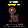 Storm (Gift)
