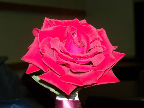 A rose