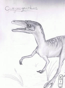 Compsognathus