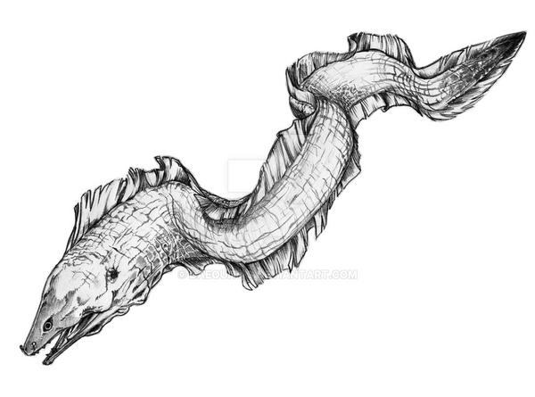 moray eel tattoo design