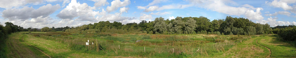 Bobbits Lane