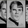 Captain Kirk and Mr Spock (Star Trek) 2