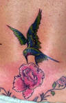 Rose with Hummingbird