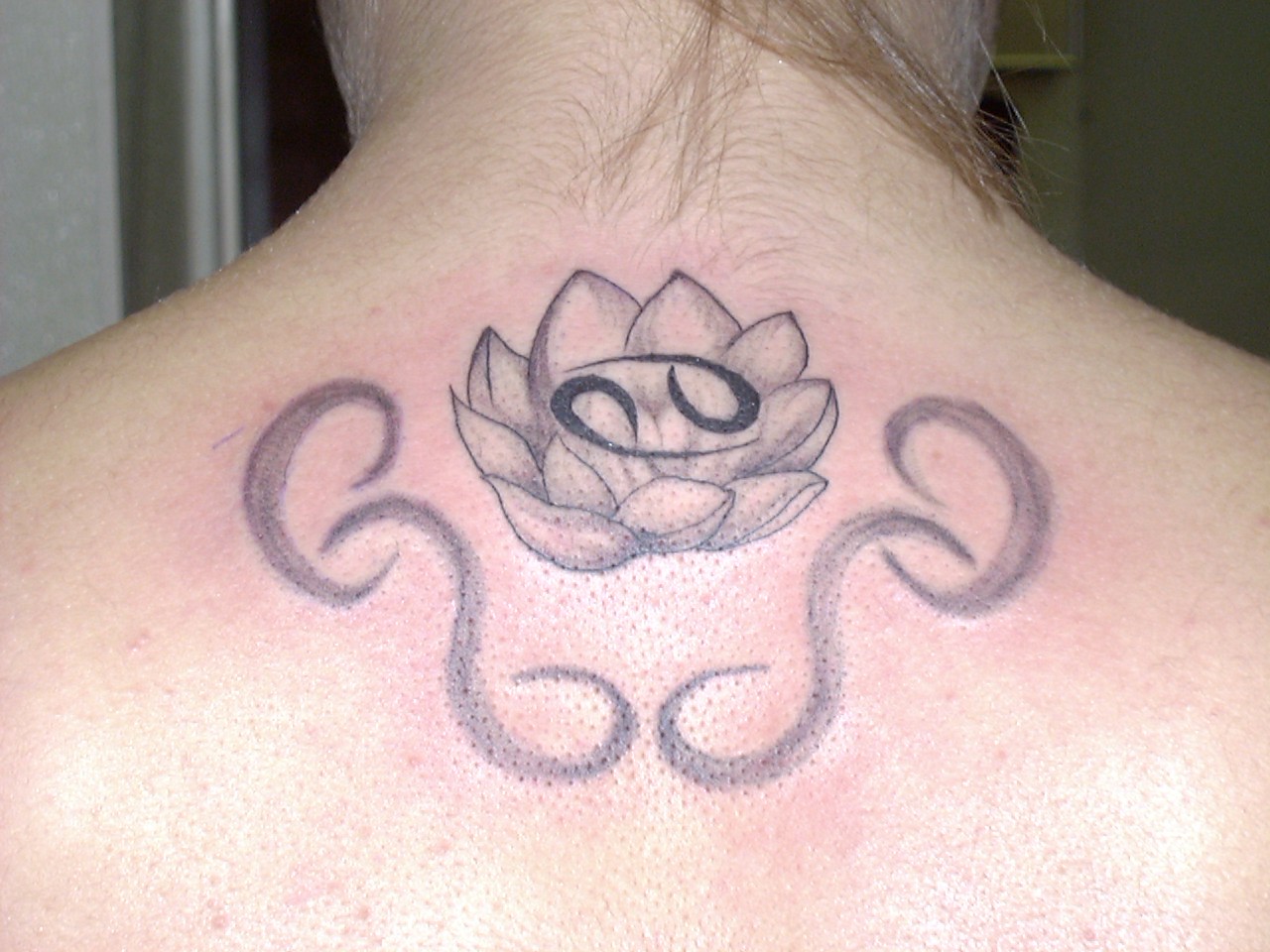 Zodiac Lotus
