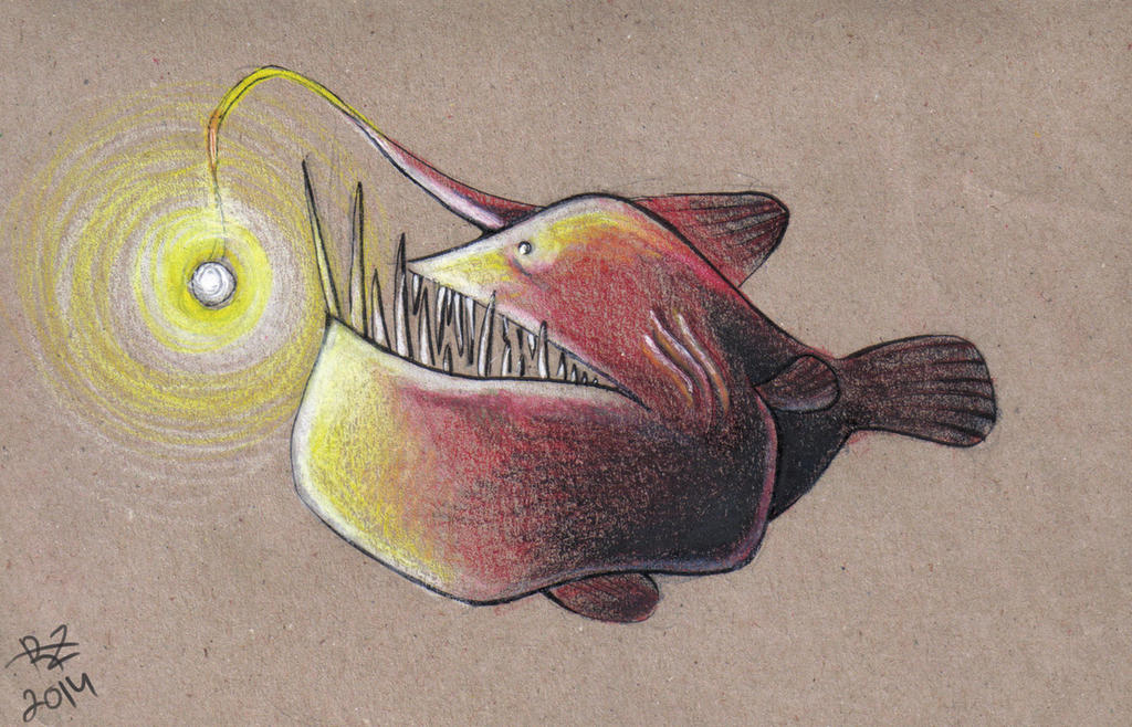 angler fish