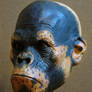 Ape's Head Painted