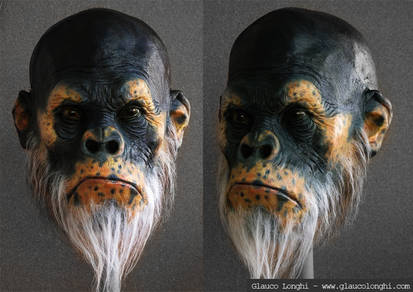 Ape's head finished