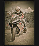 honda cbr 600 RR by carlarush