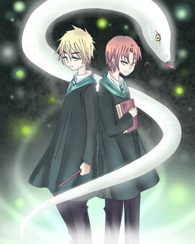 APH - The Slytherin