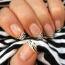 Zebra Nail Polish 1