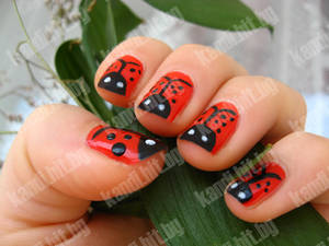 Ladybird nails part 5