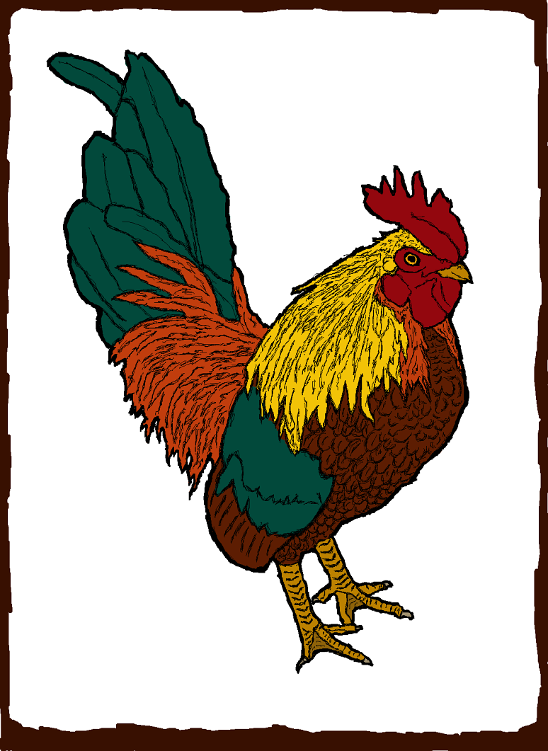 Rooster