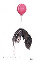 Anteater and Balloon