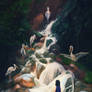 Heron falls
