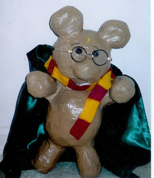 Harry Potter Bear