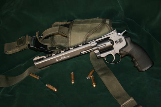 Dan Wesson 8 inch