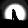 Howling Moon