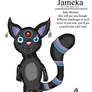 Jameka The Cat