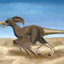 Velociraptor Bird